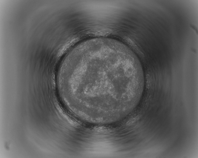 X0000099420634200806060956