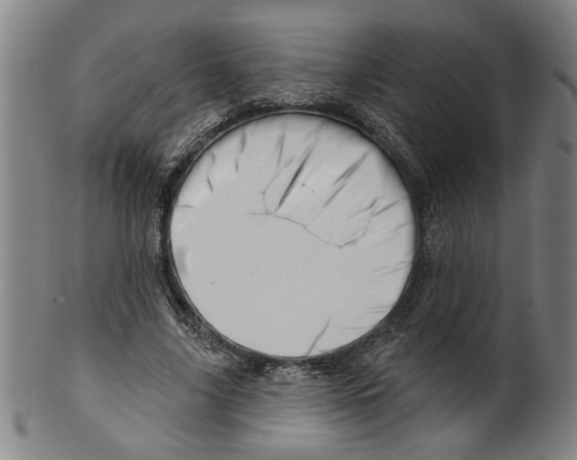 X0000099420635200806060956