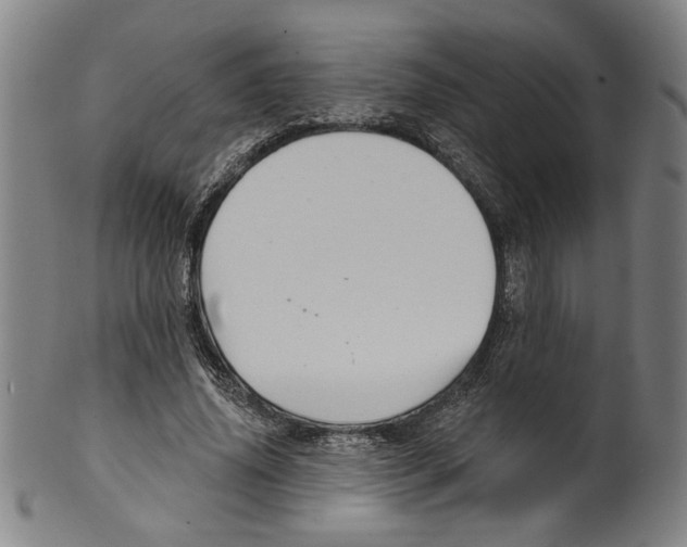X0000099420636200806060956