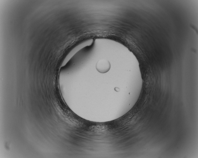 X0000099420639200806060956