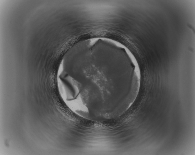 X0000099420641200806060956