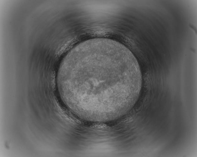 X0000099420642200806060956