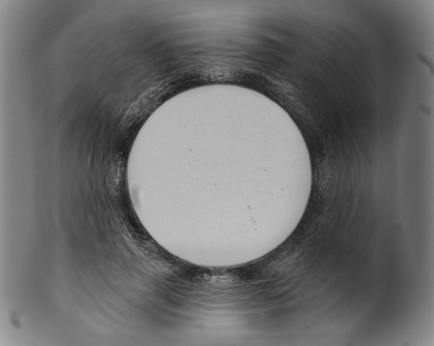 X0000099420645200806060956