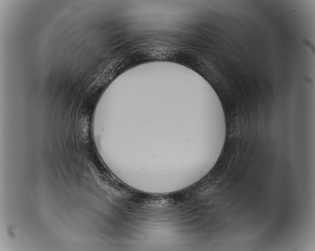 X0000099420646200806060956