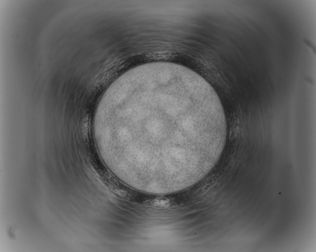 X0000099420647200806060956