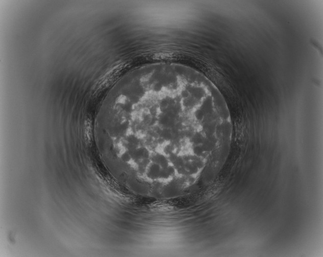 X0000099420648200806060956