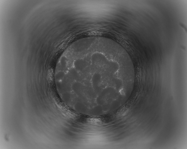 X0000099420649200806060956