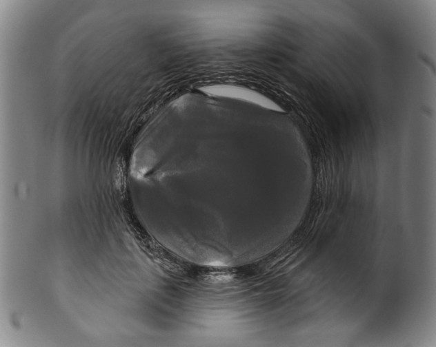 X0000099420651200806060956