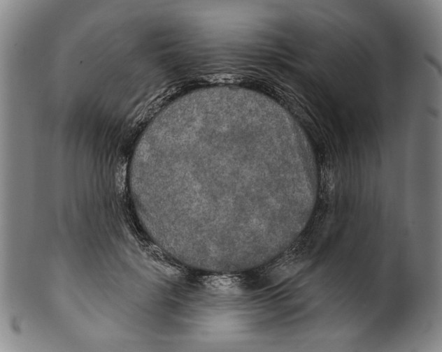 X0000099420652200806060956