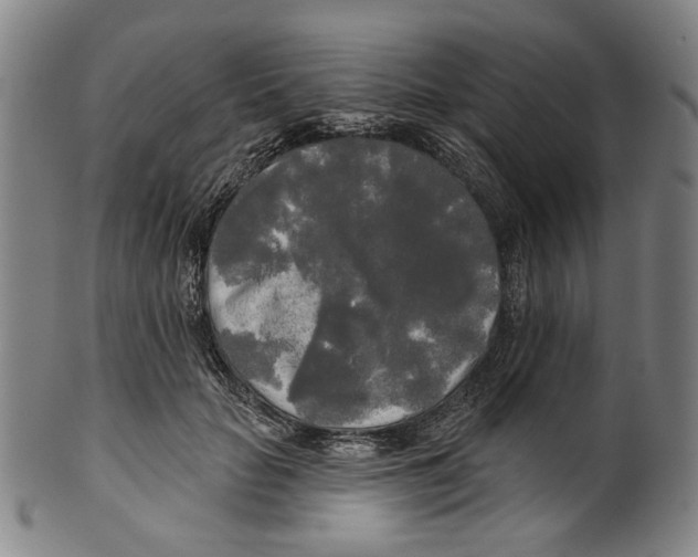 X0000099420653200806060956
