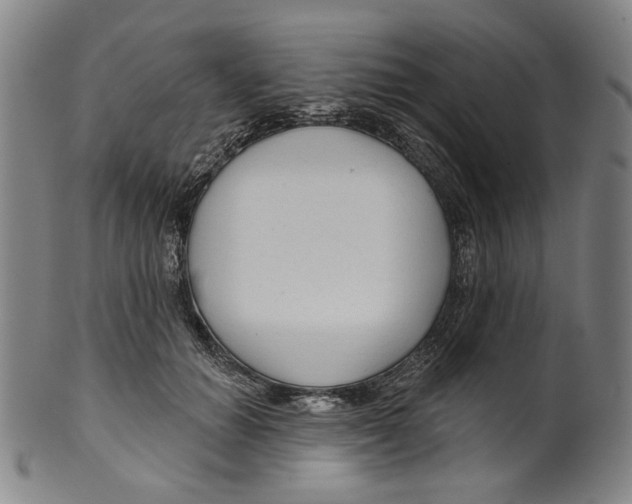 X0000099420654200806060956
