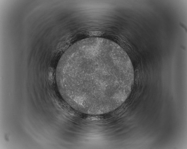 X0000099420655200806060956