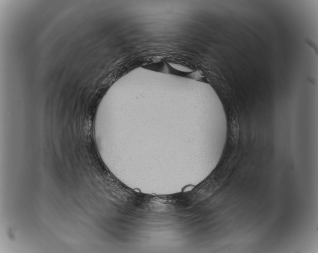 X0000099420657200806060956