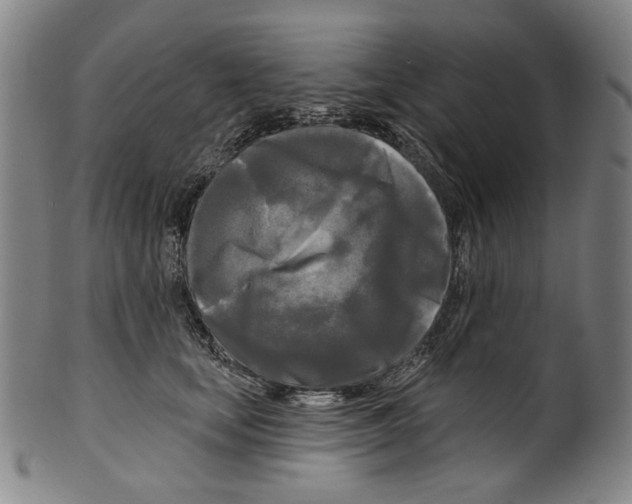 X0000099420659200806060956