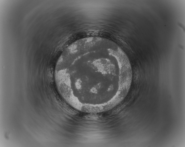 X0000099420661200806060956