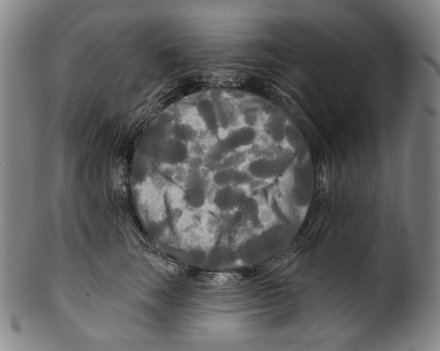 X0000099420663200806060956