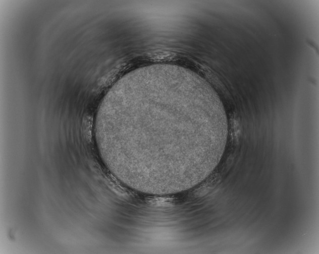 X0000099420664200806060956