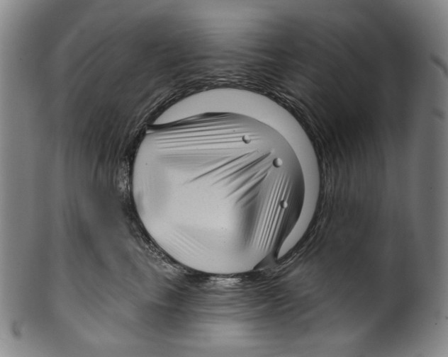 X0000099420665200806060956