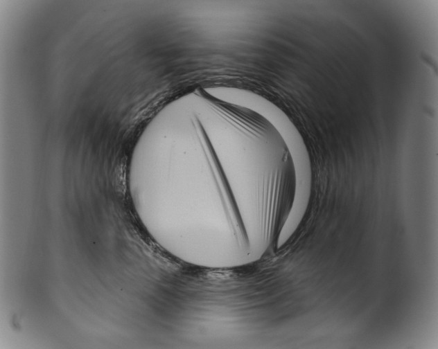 X0000099420666200806060956