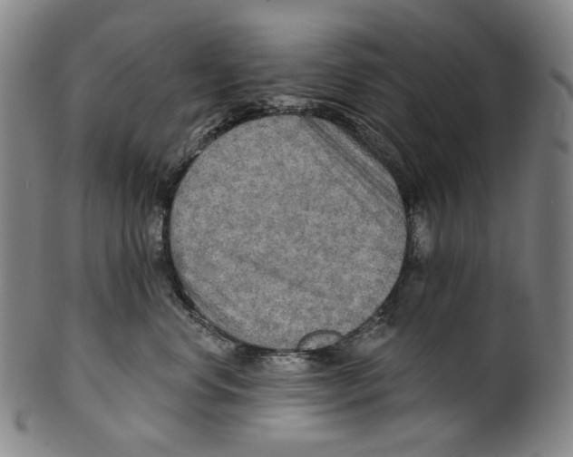 X0000099420668200806060956