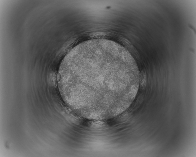 X0000099420669200806060956