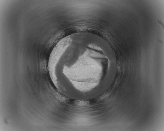 X0000099420670200806060956