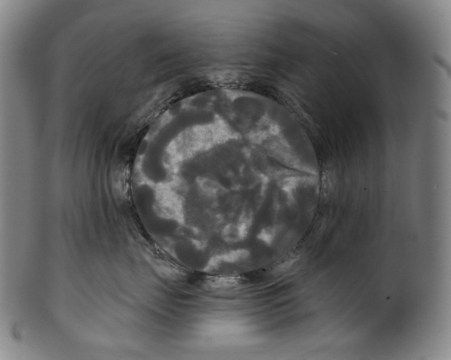 X0000099420671200806060956