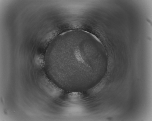 X0000099420672200806060956