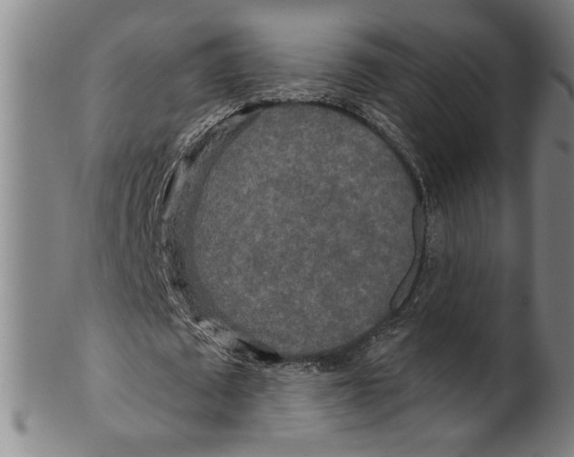 X0000099420673200806060955