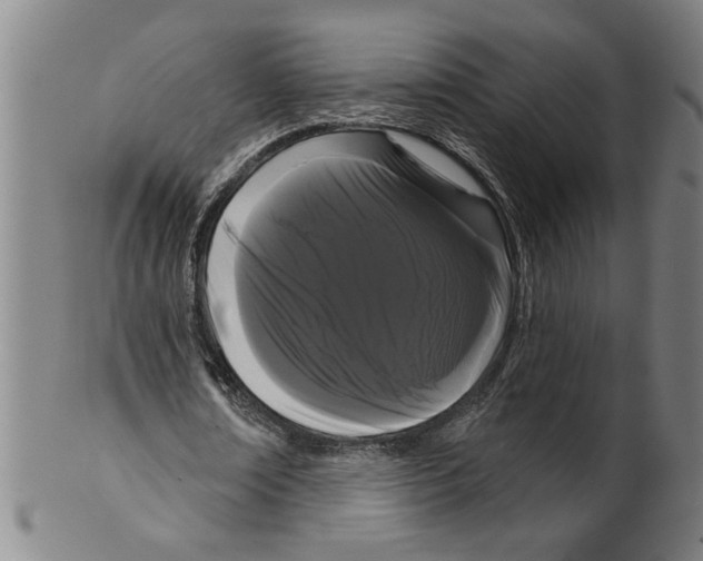X0000099420674200806060955