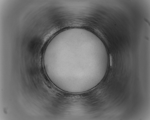 X0000099420675200806060955