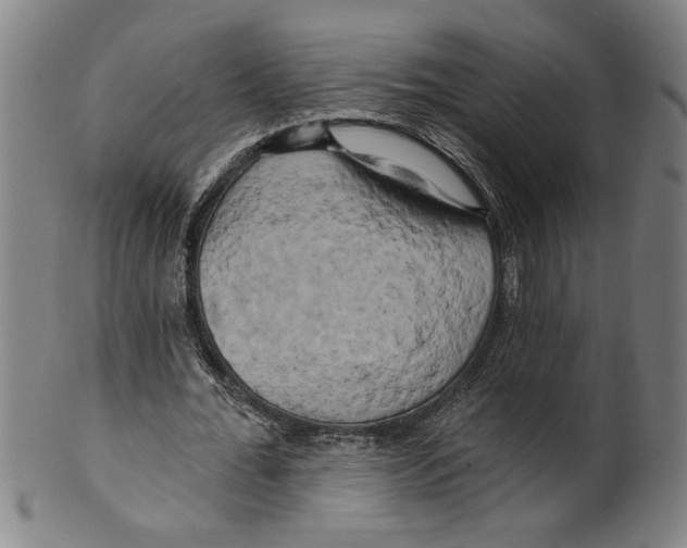 X0000099420676200806060955