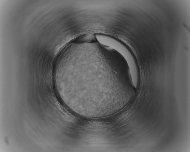 X0000099420677200806060955