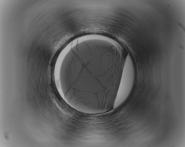 X0000099420678200806060955