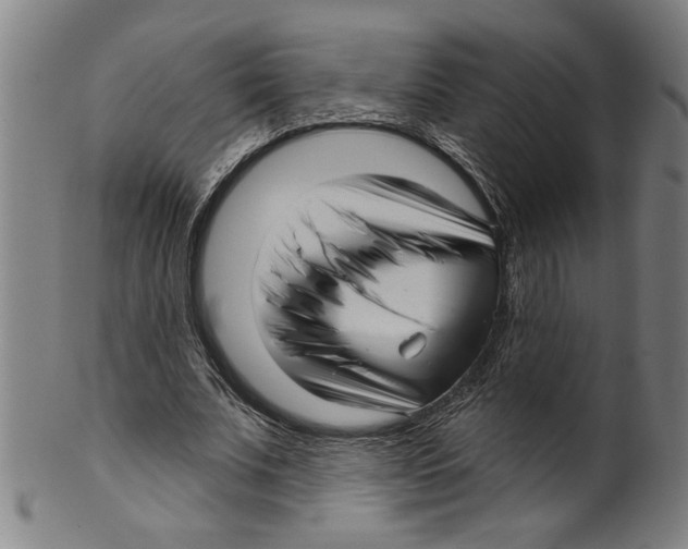 X0000099420679200806060955