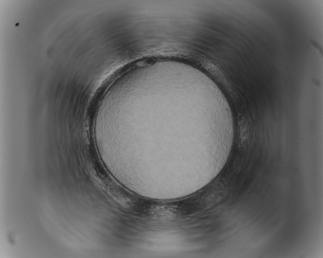 X0000099420680200806060955
