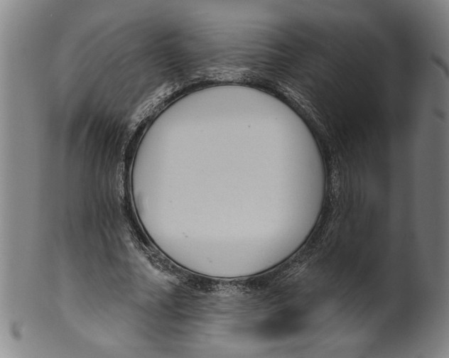 X0000099420682200806060955