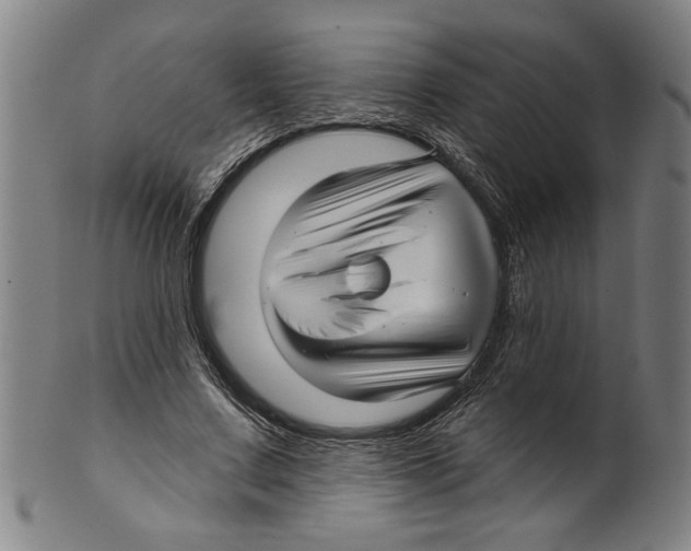 X0000099420683200806060955