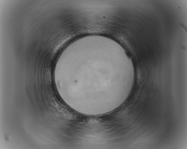 X0000099420684200806060955
