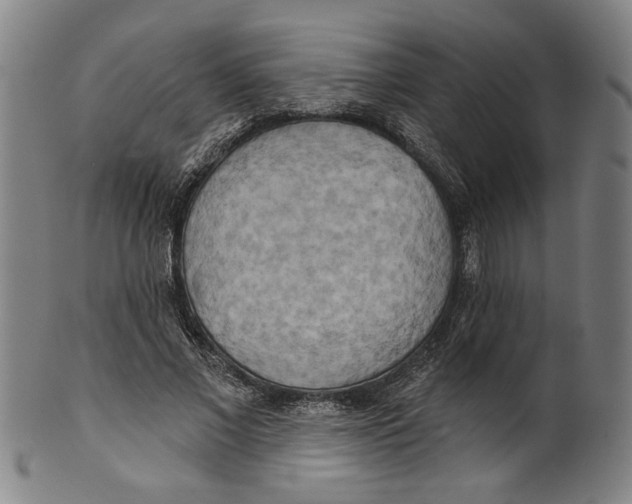 X0000099420685200806060955