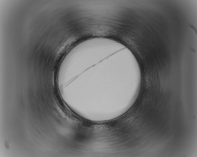 X0000099420686200806060955