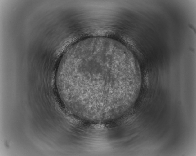 X0000099420687200806060955