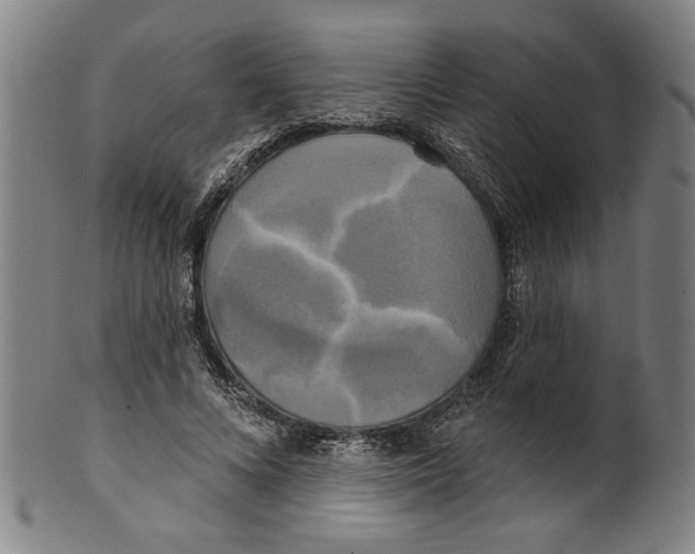 X0000099420688200806060955