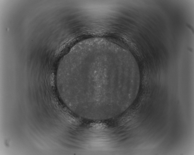 X0000099420689200806060955