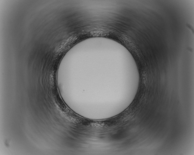 X0000099420690200806060955