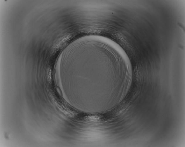X0000099420692200806060955