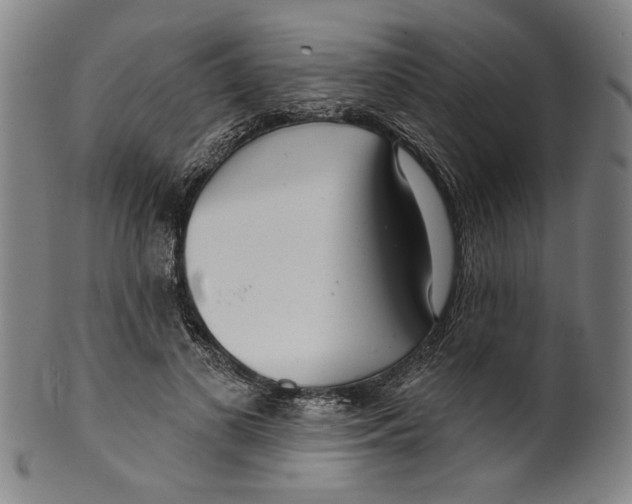 X0000099420693200806060955