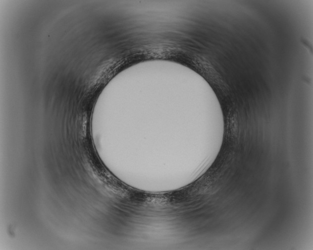 X0000099420694200806060955