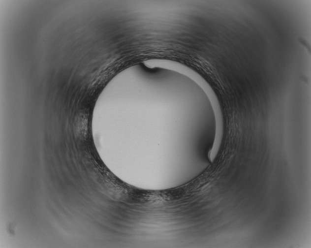 X0000099420697200806060955
