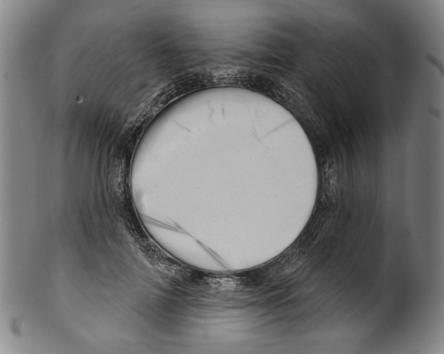 X0000099420698200806060955